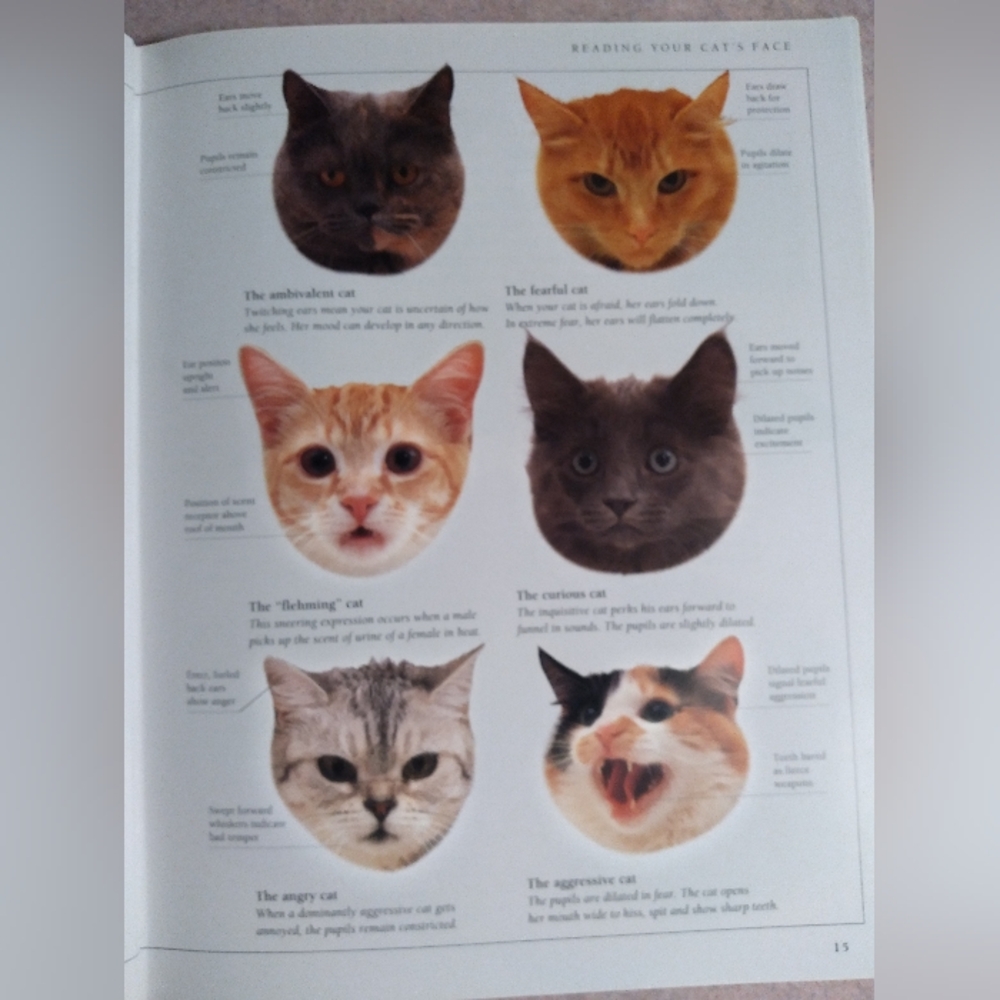 Know Your Cat Book - Picture 4 of 6